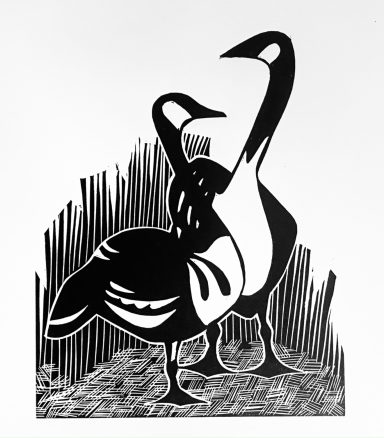 Geese Black and white print of two Canada geese nesting on the canal bank. An art deco style piece.
